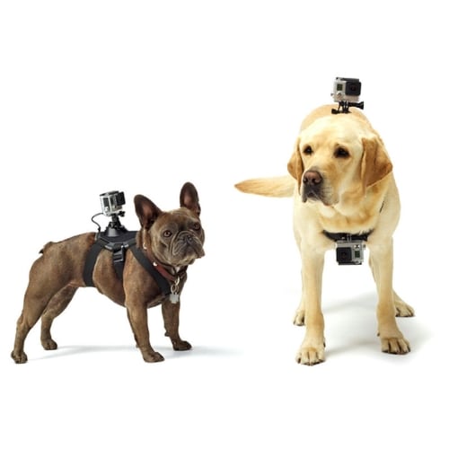 Hondenborstriem GoPro HERO
