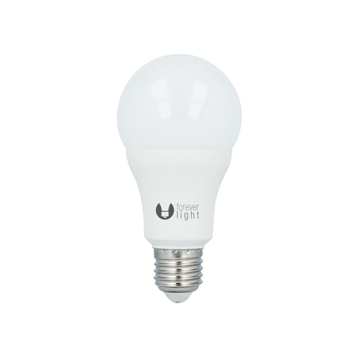 LED lamp A65 E27 15W 230V - Koud wit