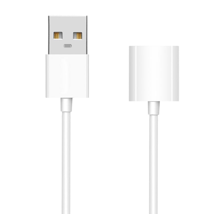 USB oplaadkabel voor Apple Pencil – Wit