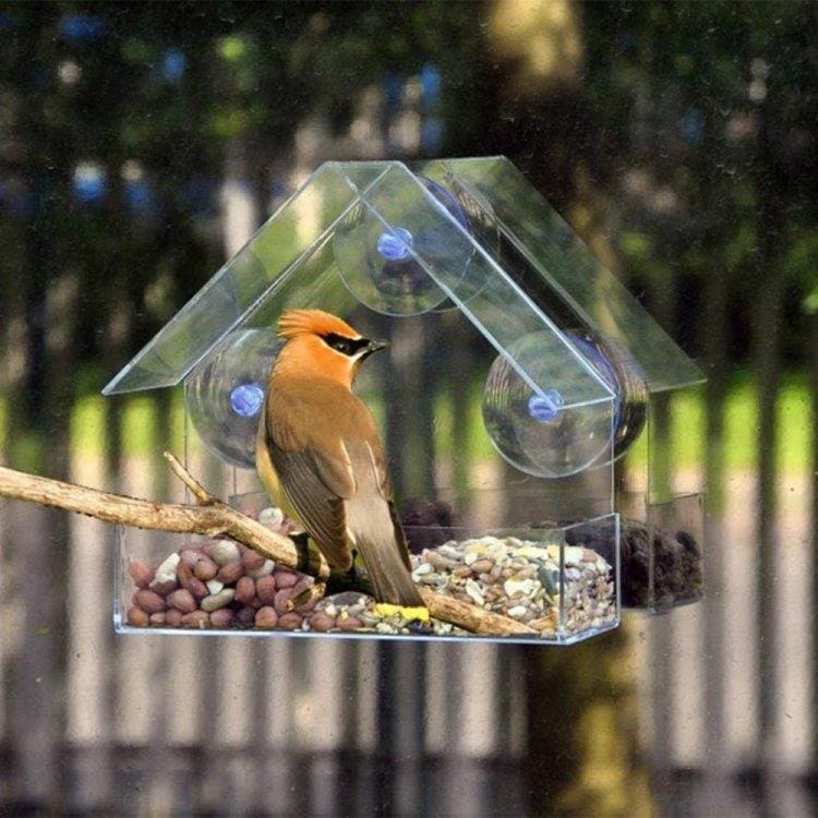 Vogelhuisje / vogelvoederbak - transparant voor venster