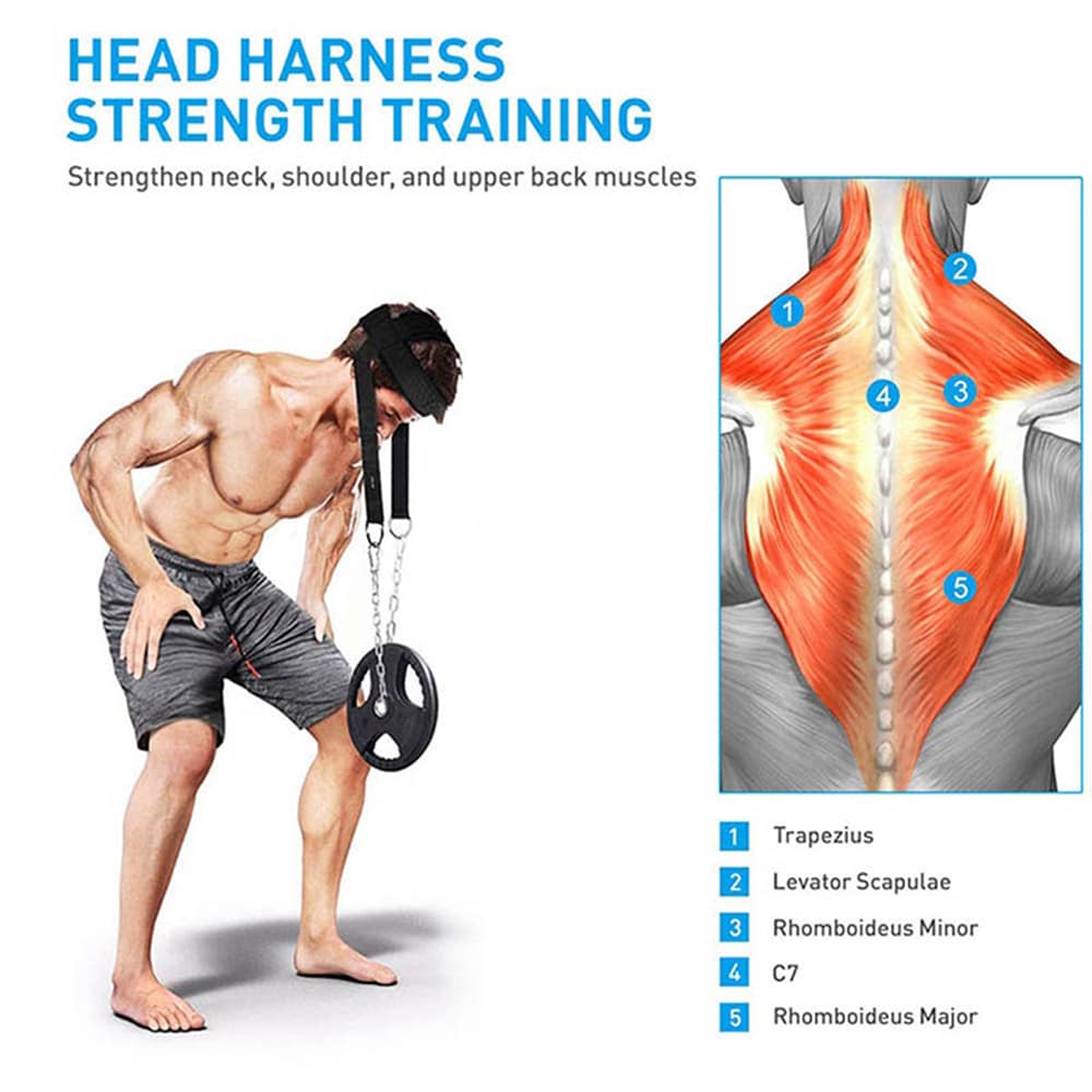 Gym Head Harness - nektrainer